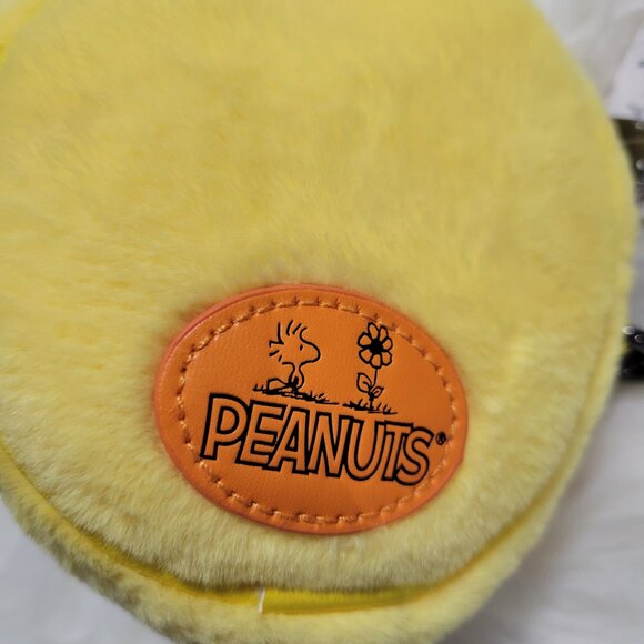 Peanuts Snoopy & Woodstock Halloween Set